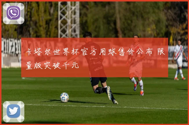 卡塔尔世界杯官方用球售价公布 限量版突破千元