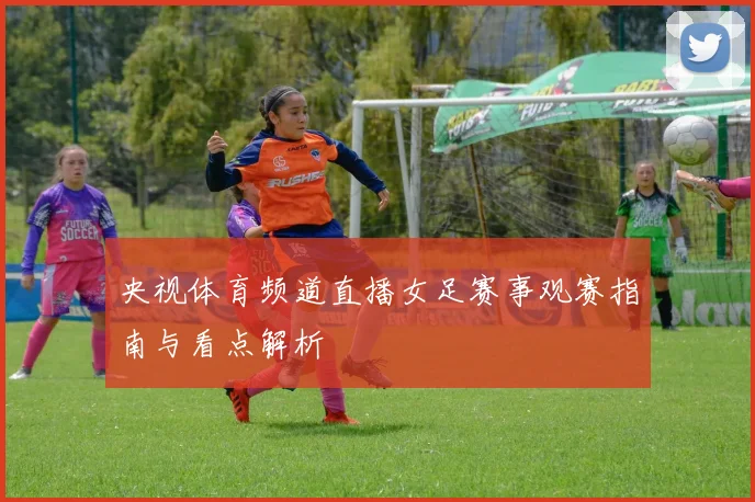 央视体育频道直播女足赛事观赛指南与看点解析