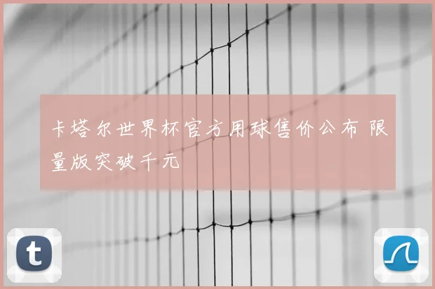 卡塔尔世界杯官方用球售价公布 限量版突破千元